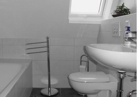 הוילה בוטיאדינגן Ferienhaus Deichstern מראה חיצוני תמונה